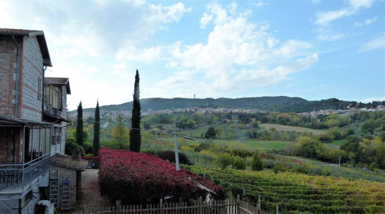 Agriturismo La Pietriccia Chianciano Terme Zewnętrze zdjęcie