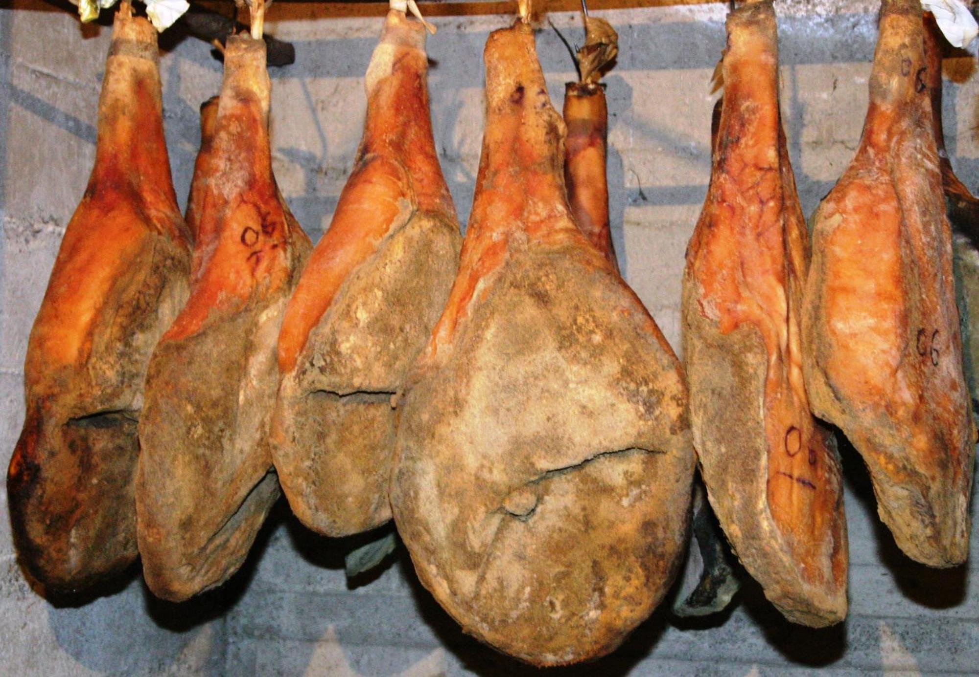 Agriturismo La Pietriccia Chianciano Terme Zewnętrze zdjęcie