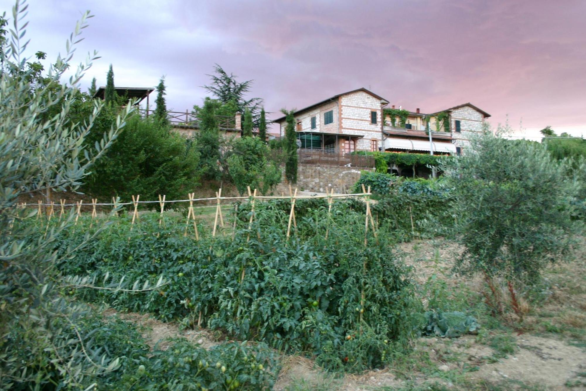 Agriturismo La Pietriccia Chianciano Terme Zewnętrze zdjęcie
