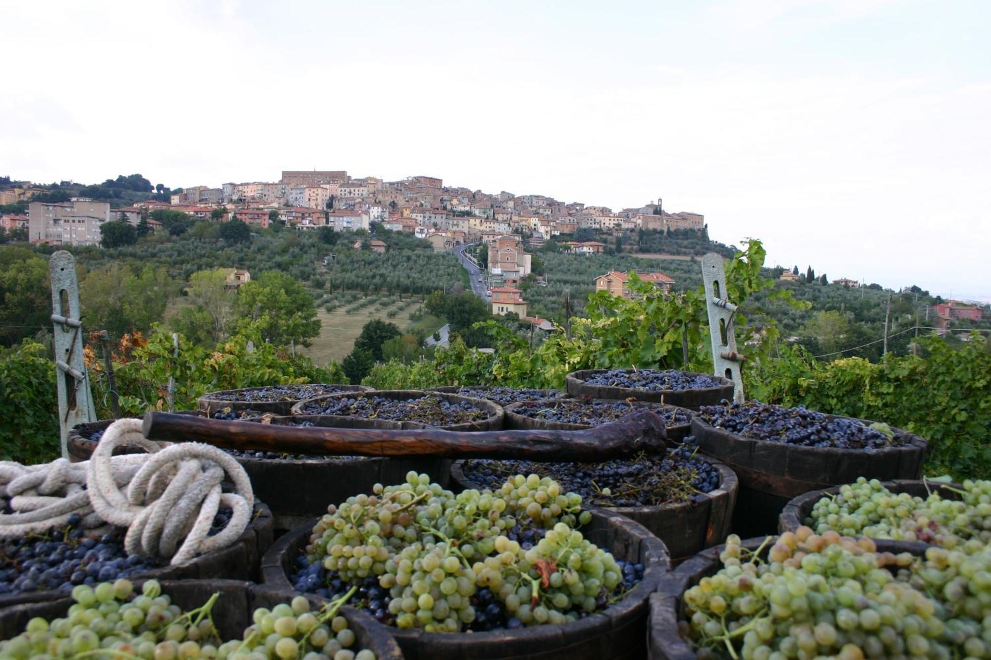 Agriturismo La Pietriccia Chianciano Terme Zewnętrze zdjęcie