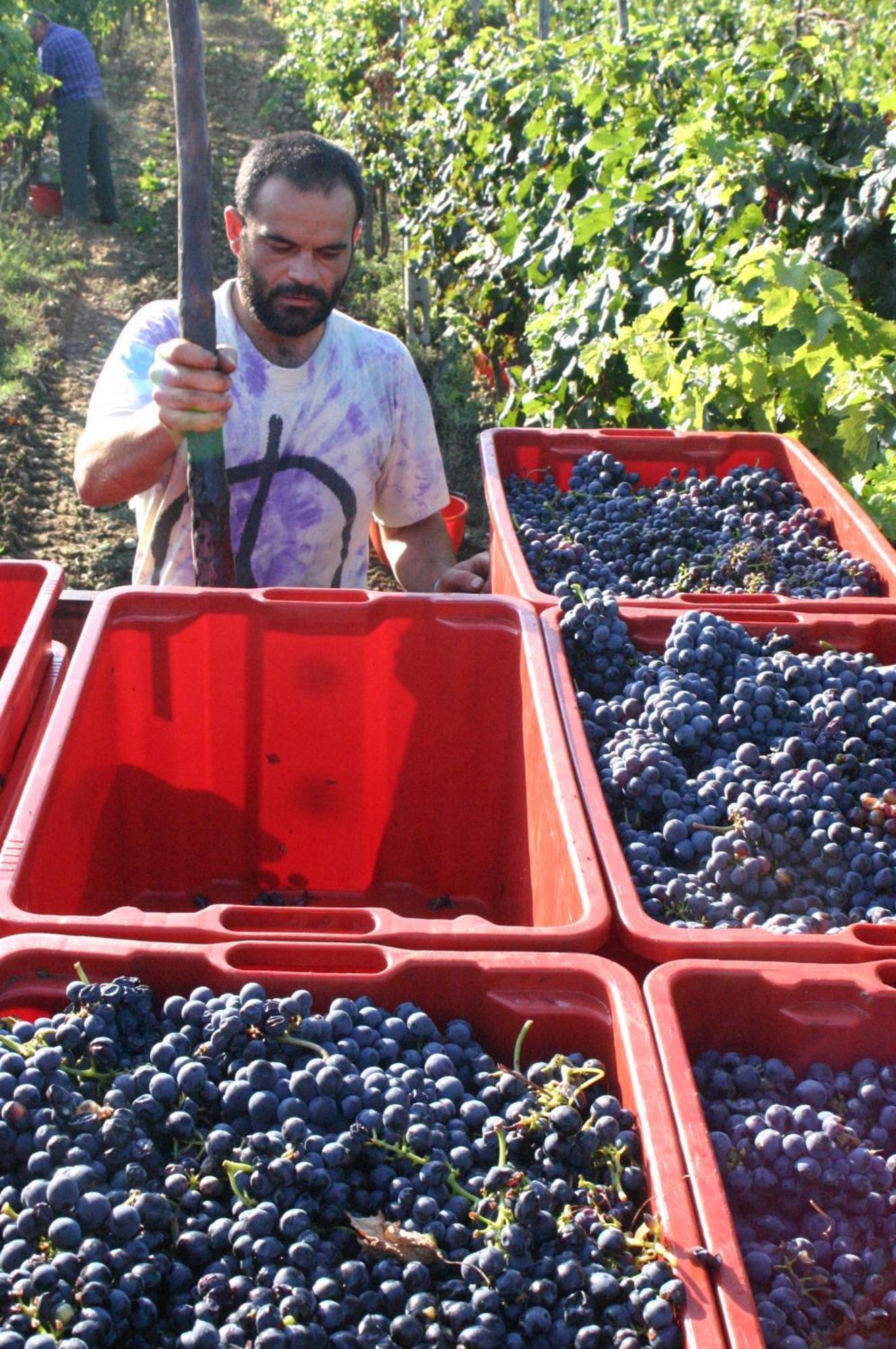 Agriturismo La Pietriccia Chianciano Terme Zewnętrze zdjęcie