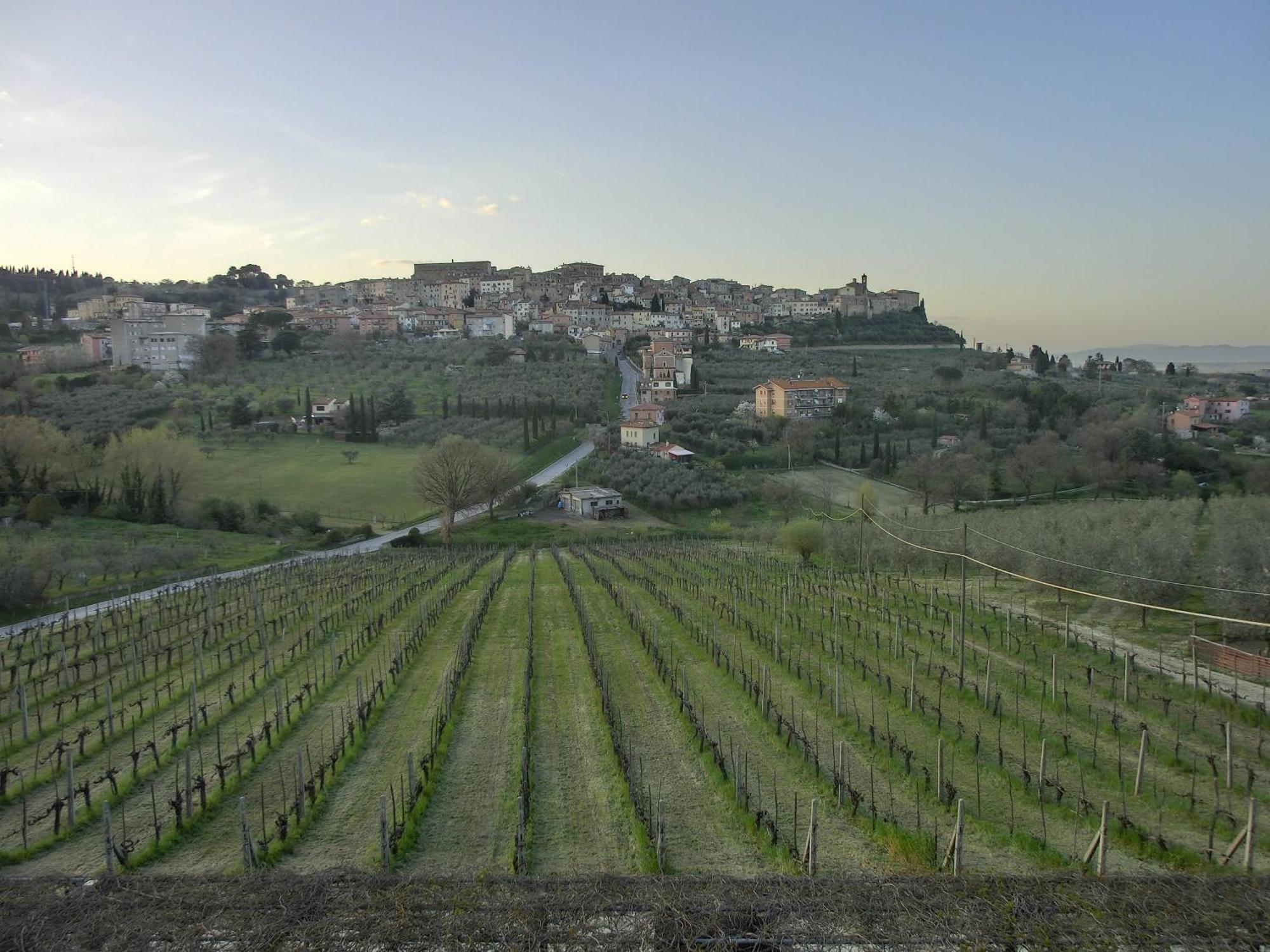 Agriturismo La Pietriccia Chianciano Terme Zewnętrze zdjęcie